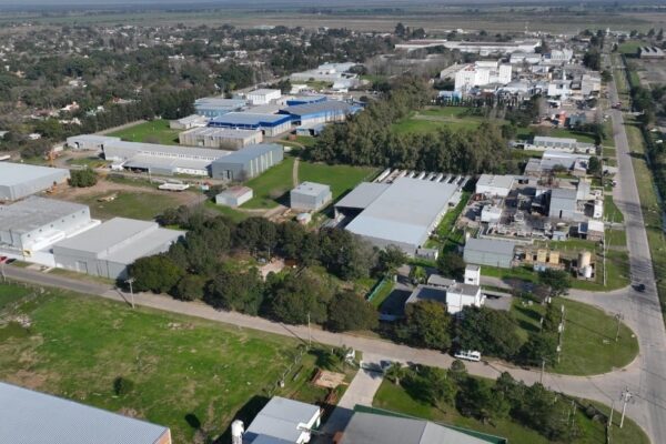Cerraron 2.371 empresas en mayo y ya suman 30.633 desde que asumió Milei