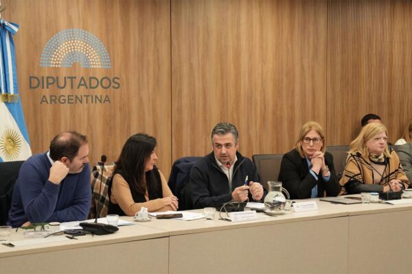 Santa Fe defendió ante Diputados un proyecto para perseguir el narcomenudeo