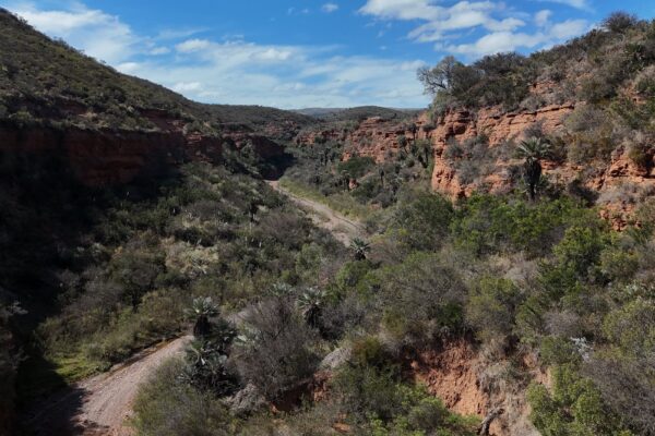 La Quebrada de Hojaldre, el paisaje escondido al norte de Córdoba
