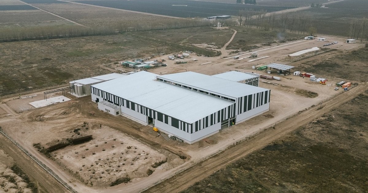Foto: Clarín