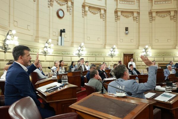 Santa Fe prohíbe la actividad de cuidacoches en todo el territorio provincial