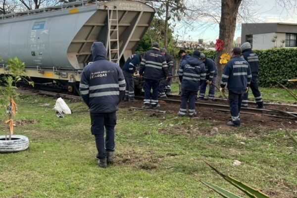 Descarriló un tren de carga en Santa Fe tras un ataque con troncos