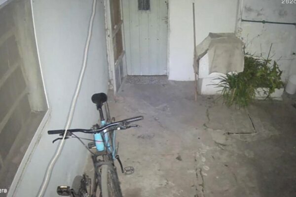 Un gato resolvió el misterio de los trapos robados en Nelson, Santa Fe