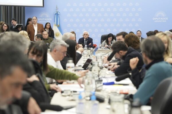 Diputados retoma el debate de la Ley de Soberanía con especialistas